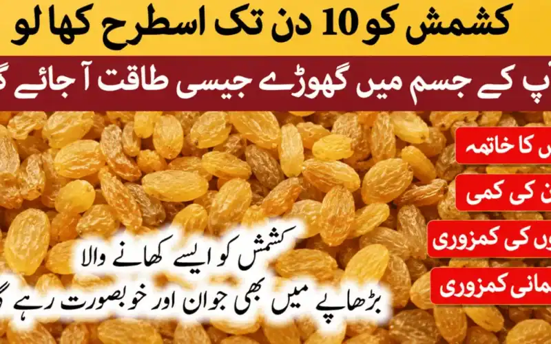 Youthfulness: Top 8 Best Fruits You Must Eat to Stay Healthy If You Are 50+ Age