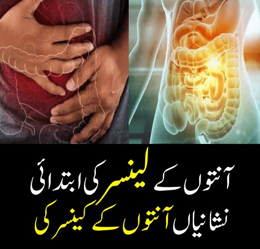 Thyroid Disorders in Females: Top Signs and Symptoms and Test Details