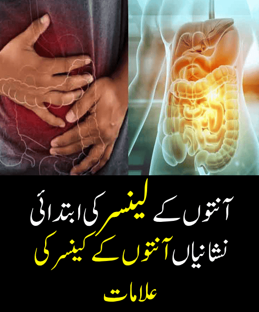 Thyroid Disorders in Females: Top Signs and Symptoms and Test Details