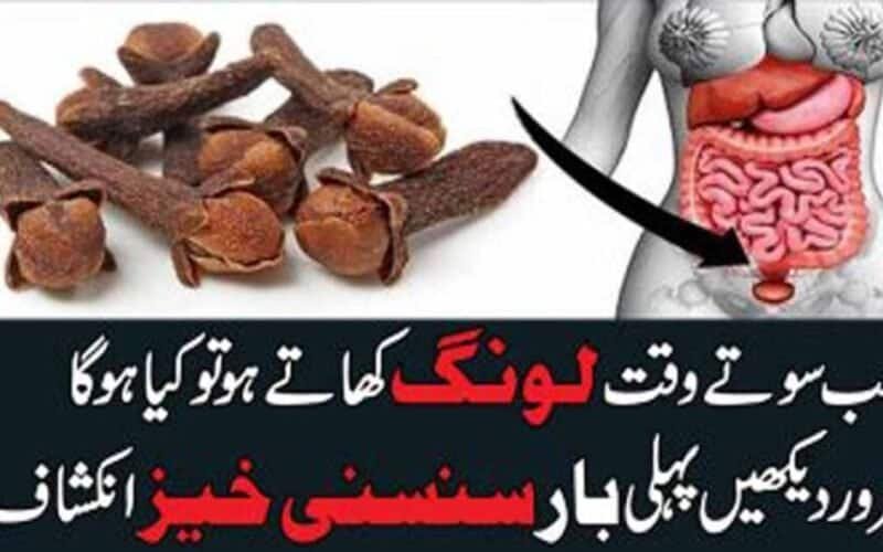 Low Calorie Desi Dinner Recipes for Weight Loss