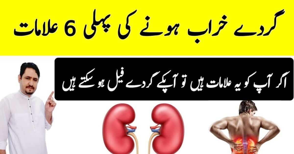 Youthfulness: Top 8 Best Fruits You Must Eat to Stay Healthy If You Are 50+ Age