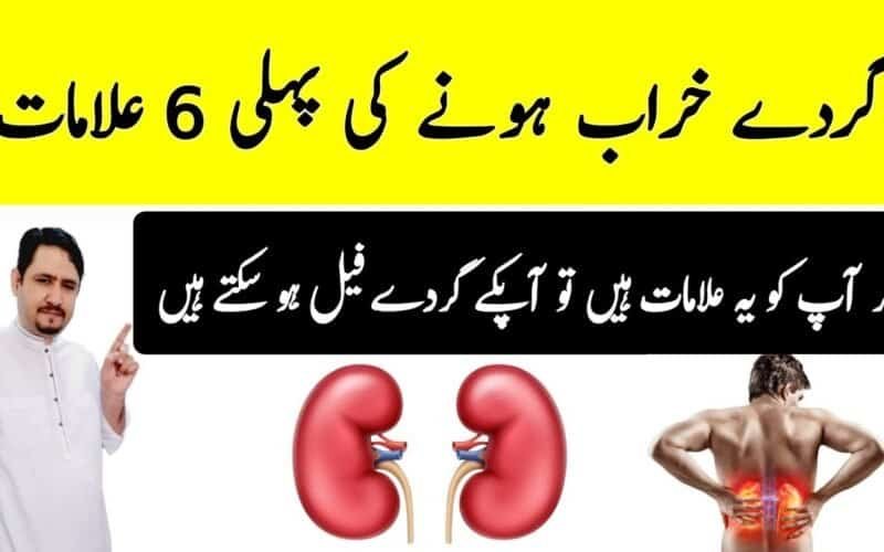 Youthfulness: Top 8 Best Fruits You Must Eat to Stay Healthy If You Are 50+ Age