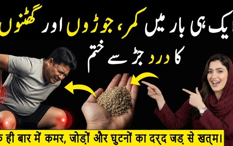 Best Foods for Healthy Bones — What Pakistani Women Need to Know